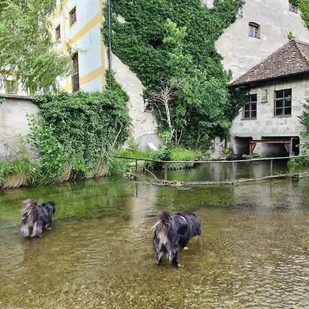 Apartment Charmante Altbauwohnung Mit Flair In Polling (Weilheim-Schongau)